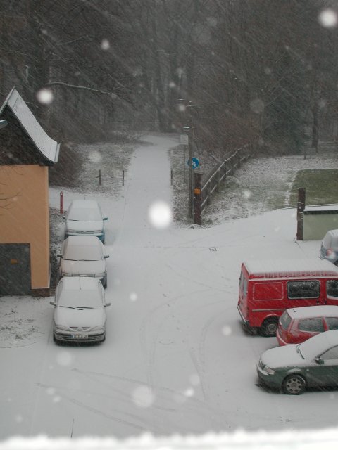 Es gibt doch noch Schnee!