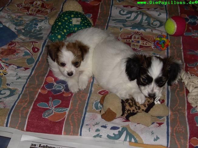 Ally und Einstein